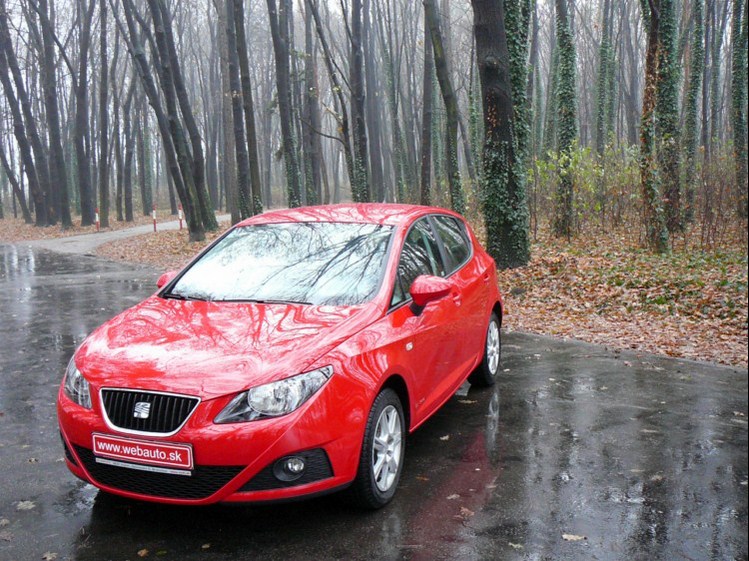 Seat Ibiza "Copa" 1.4i 16V