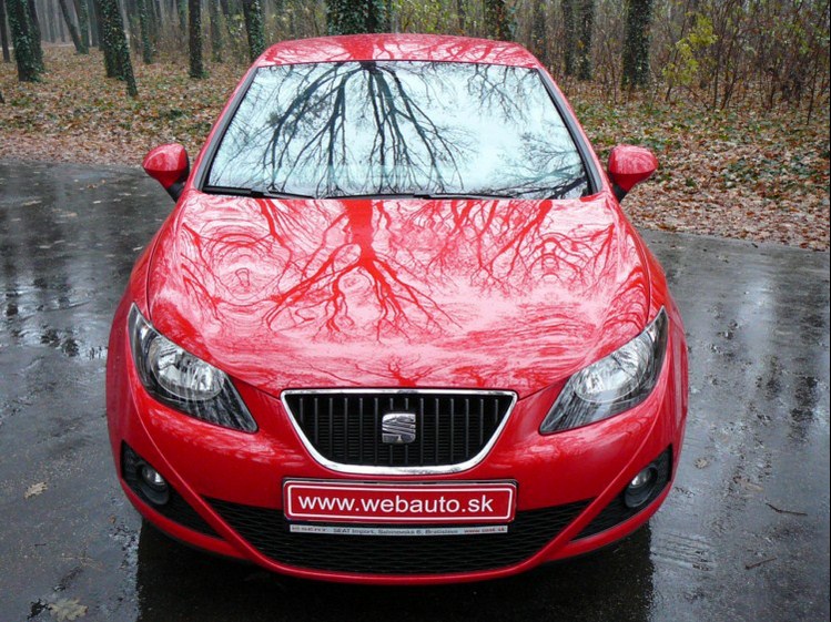 Seat Ibiza "Copa" 1.4i 16V