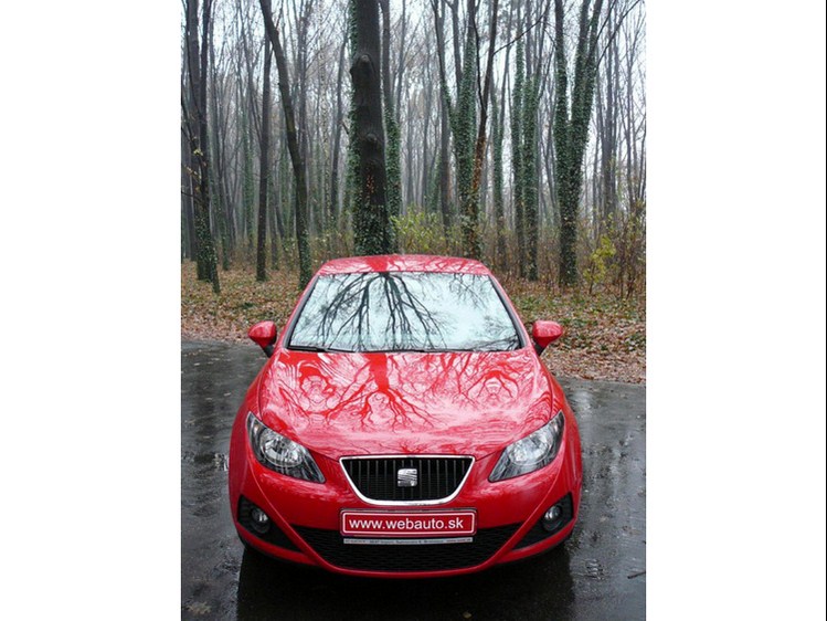 Seat Ibiza "Copa" 1.4i 16V