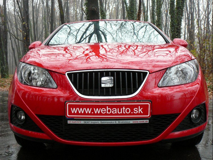 Seat Ibiza "Copa" 1.4i 16V