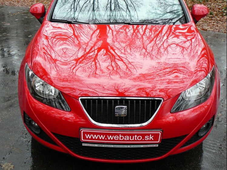 Seat Ibiza "Copa" 1.4i 16V