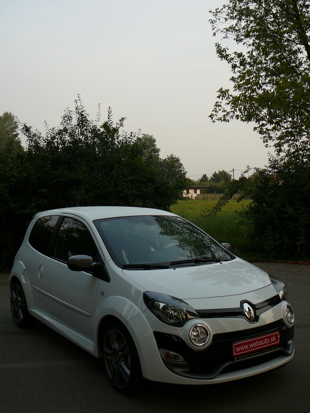 Renault Twingo RS 1.6 16V