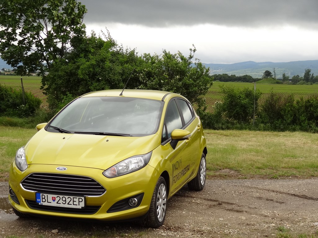 Ford Fiesta 1.25l Duratec