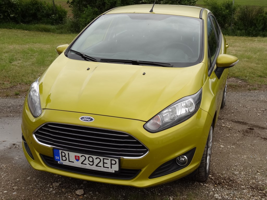 Ford Fiesta 1.25l Duratec