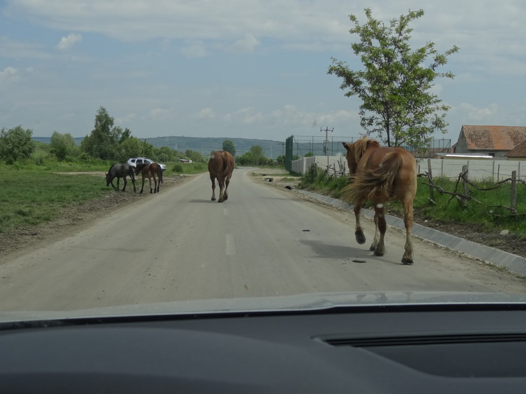 Transylvánia so Superbom