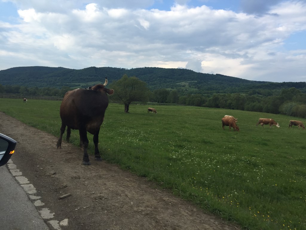 Transylvánia so Superbom