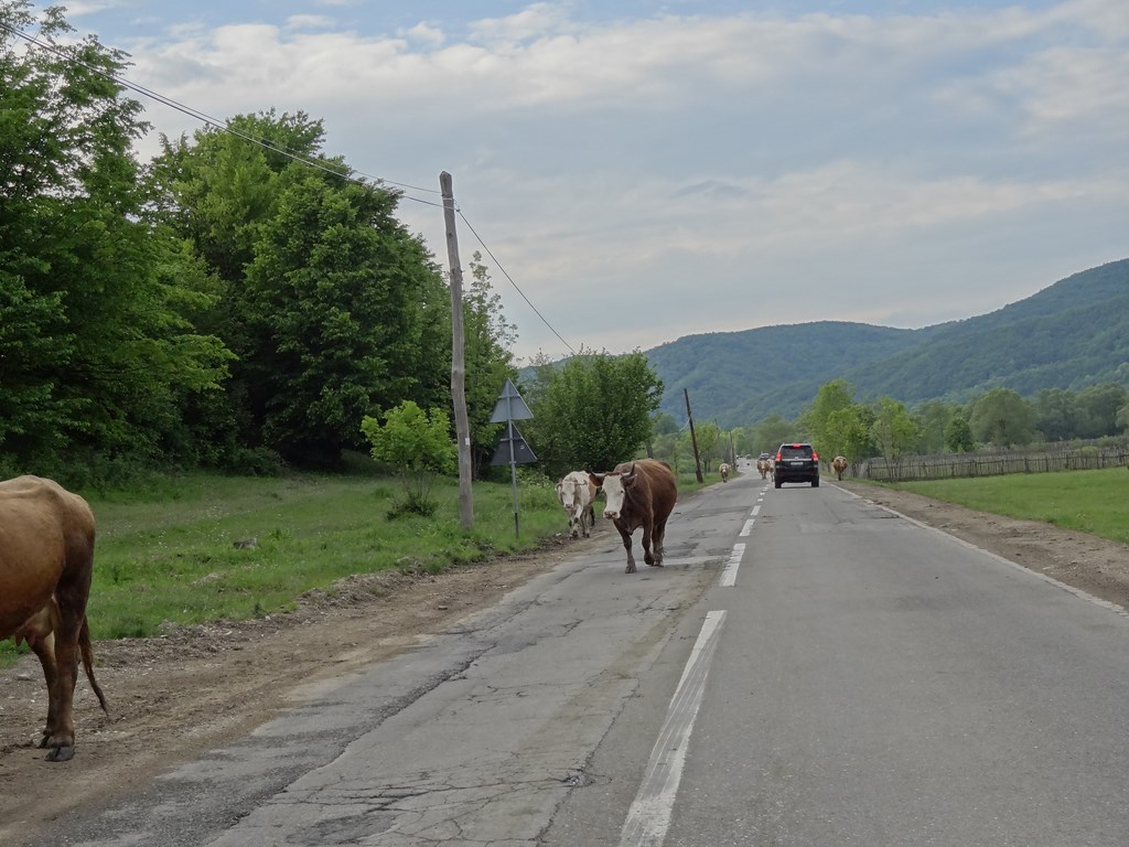 Transylvánia so Superbom