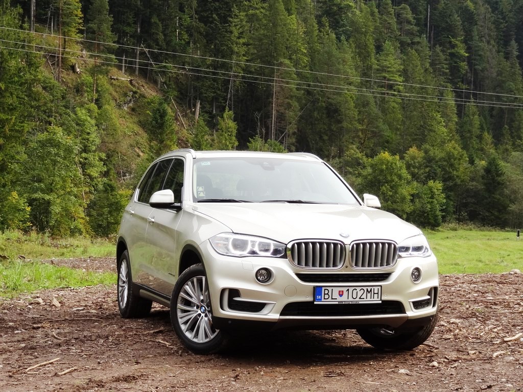 BMW X5 xDrive25d