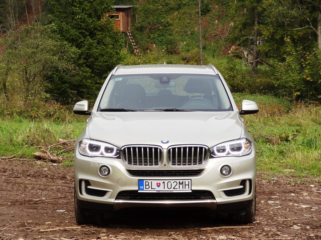 BMW X5 xDrive25d