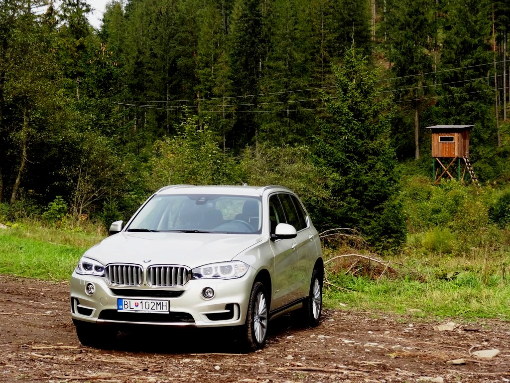 BMW X5 xDrive25d