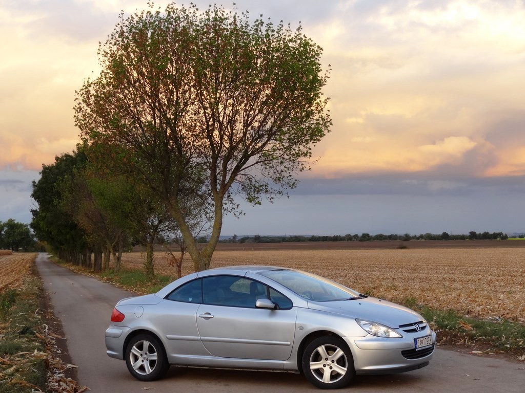 Jazdený Peugeot 307 CC 1.6 16V 04´