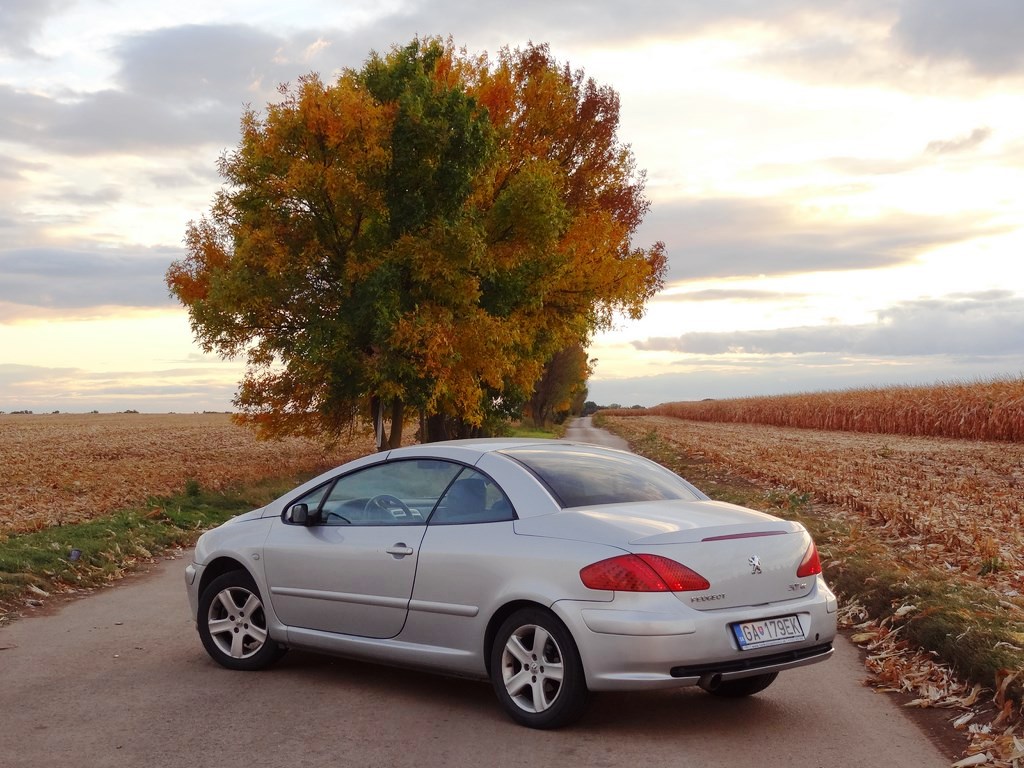 Jazdený Peugeot 307 CC 1.6 16V 04´