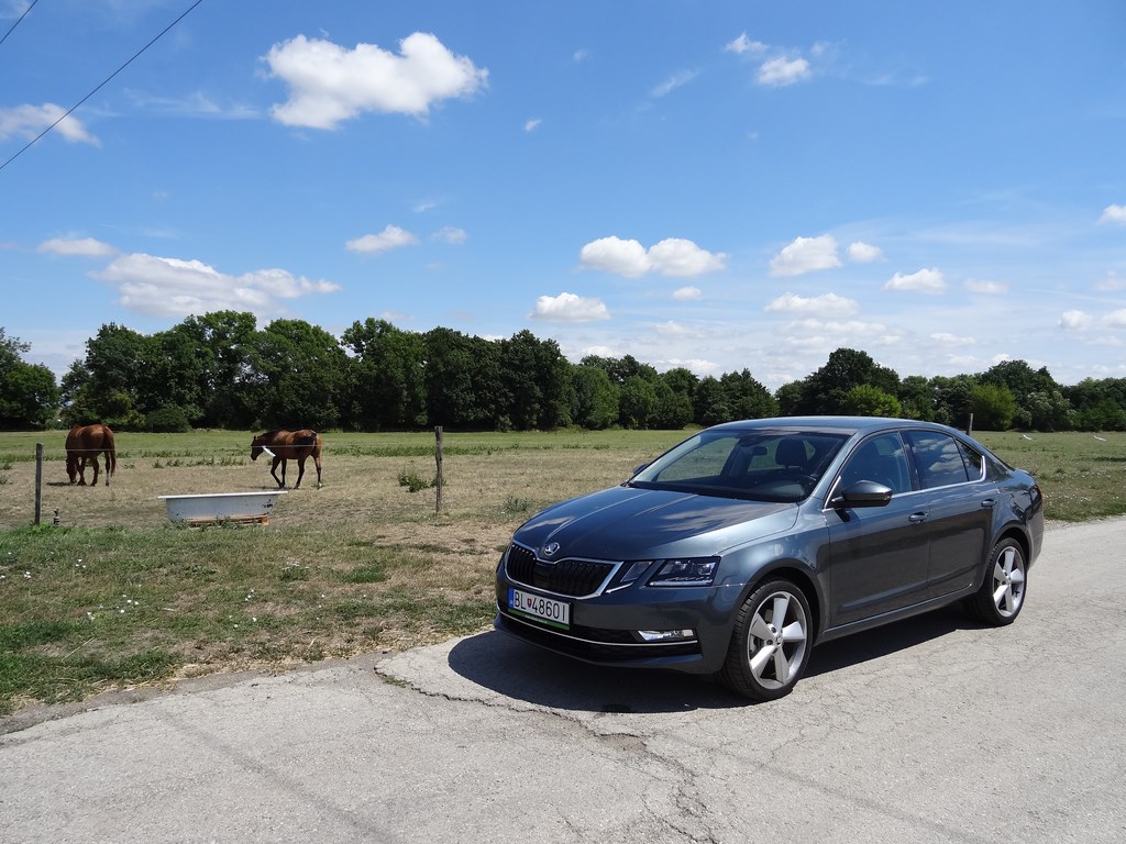 Škoda Octavia 2.0 TDI vs. RS 2.0 TSI DSG