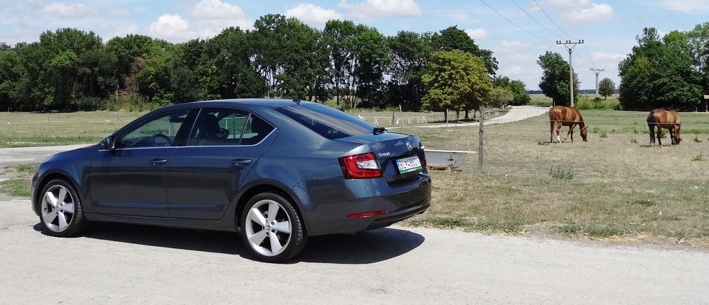 Škoda Octavia 2.0 TDI vs. RS 2.0 TSI DSG