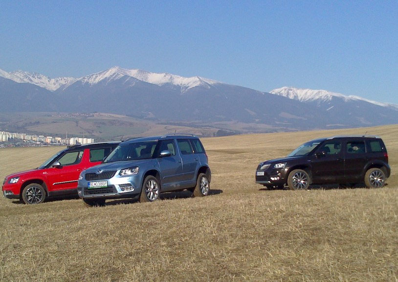 Škoda Snow Drive 2014
